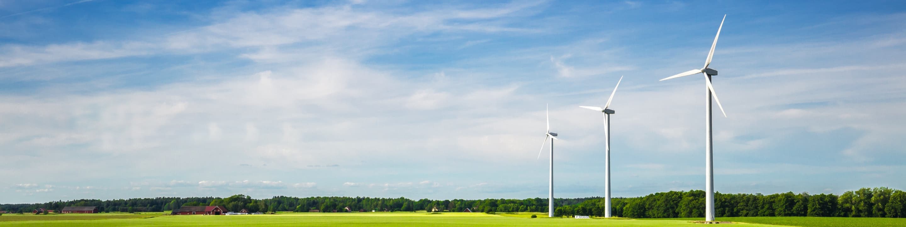Windmills in a field